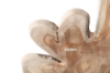 Picture of BARON Solid Teak Wood Display Abstract in Three Sizes