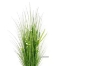 Picture of ARTIFICIAL PLANT 266-278 Onion Grass (48cm/150cm)