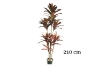 Picture of CORDYLINE TERMINALIS Artificial Plant (H150cm/H210cm)