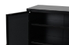 Picture of STARK Steel Frame 2-Mirror Door Cabinet (Black)