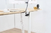 Picture of EVIS 50.5" Snake Cable Management Spine Conduit (White)