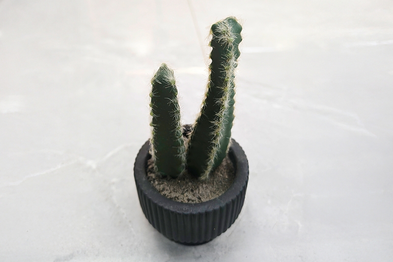 Picture of ARTIFICIAL Duo Cereus Acanthocereus Cactus Potted Plant (3"x7")