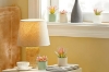 Picture of Set of 6 - ARTIFICIAL Gradient Succulent Plants with Cement Pots