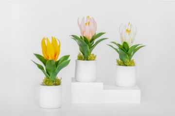 Picture of Set of 3 - ARTIFICIAL Flower Potted Plants 3 Piece Decorative Set