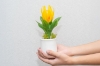Picture of Set of 3 - ARTIFICIAL Flower Potted Plants 3 Piece Decorative Set