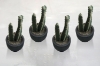 Picture of ARTIFICIAL Duo Cereus Acanthocereus Cactus Potted Plant - Set of 4 