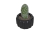 Picture of ARTIFICIAL Round Cactus Potted Plant (4"x6")  