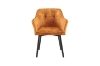 Picture of TAMPA Arm Dining Chair (Caramel) - Each