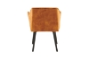 Picture of TAMPA Arm Dining Chair (Caramel) - 2 Chairs in 1 Carton